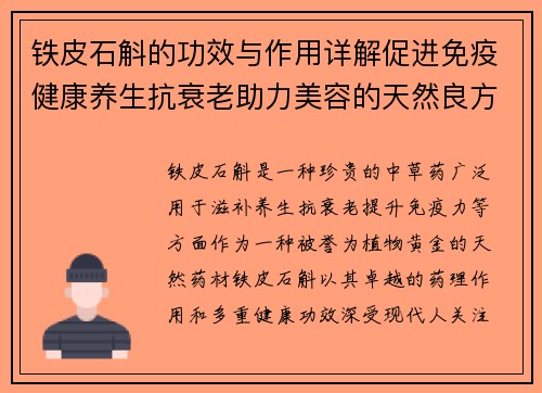 铁皮石斛的功效与作用详解促进免疫健康养生抗衰老助力美容的天然良方